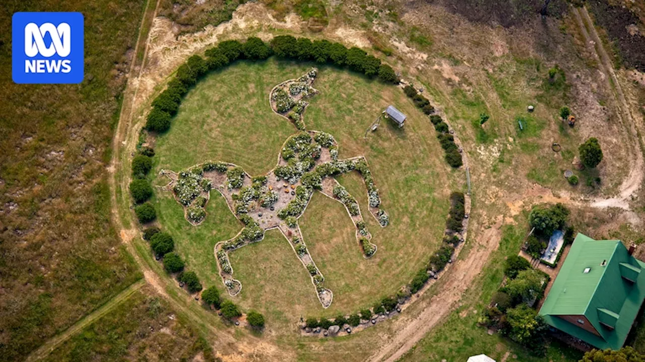 Secret horse-shaped garden outside Launceston gains fame after being spotted by Google Earth fan group