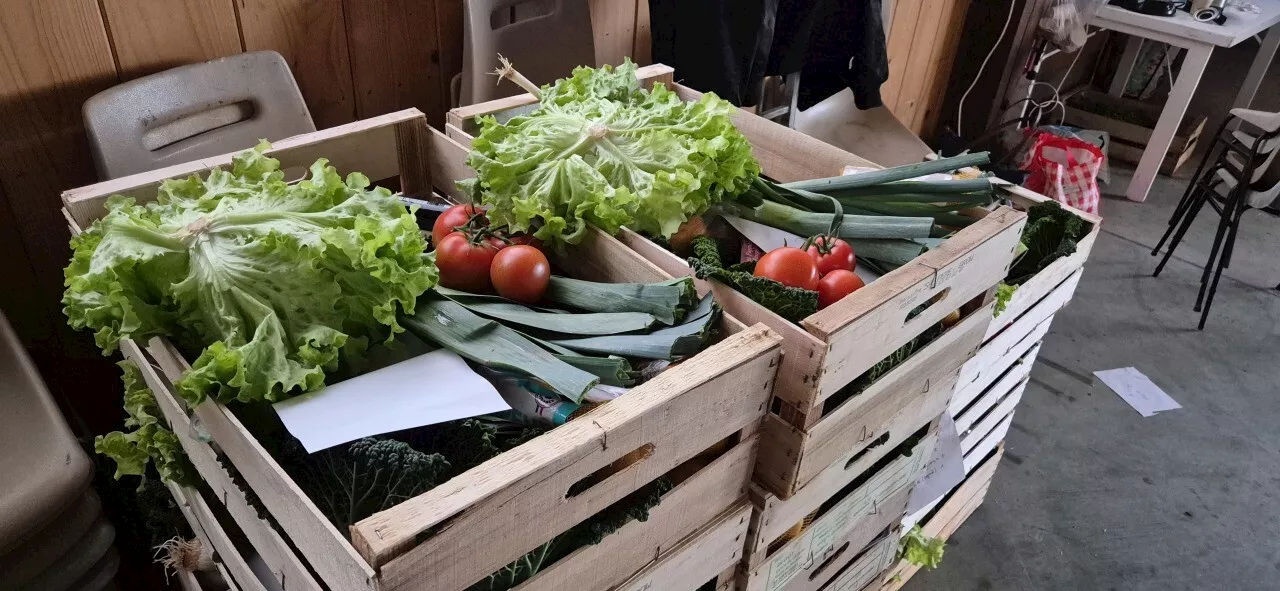 Des cagettes de légumes créent une polémique dans ce petit village près de Marmande