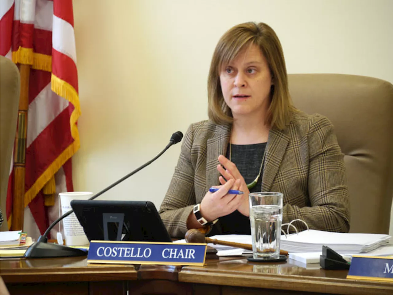 Alaska House Republicans form 19-member minority caucus led by Mia Costello