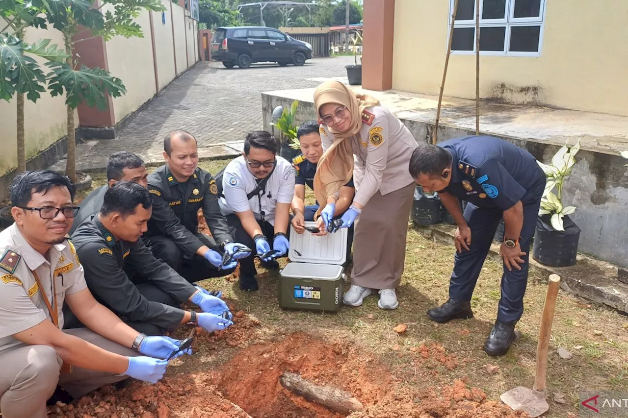 BKHIT Kepri musnahkan puluhan ekor ikan sapu-sapu