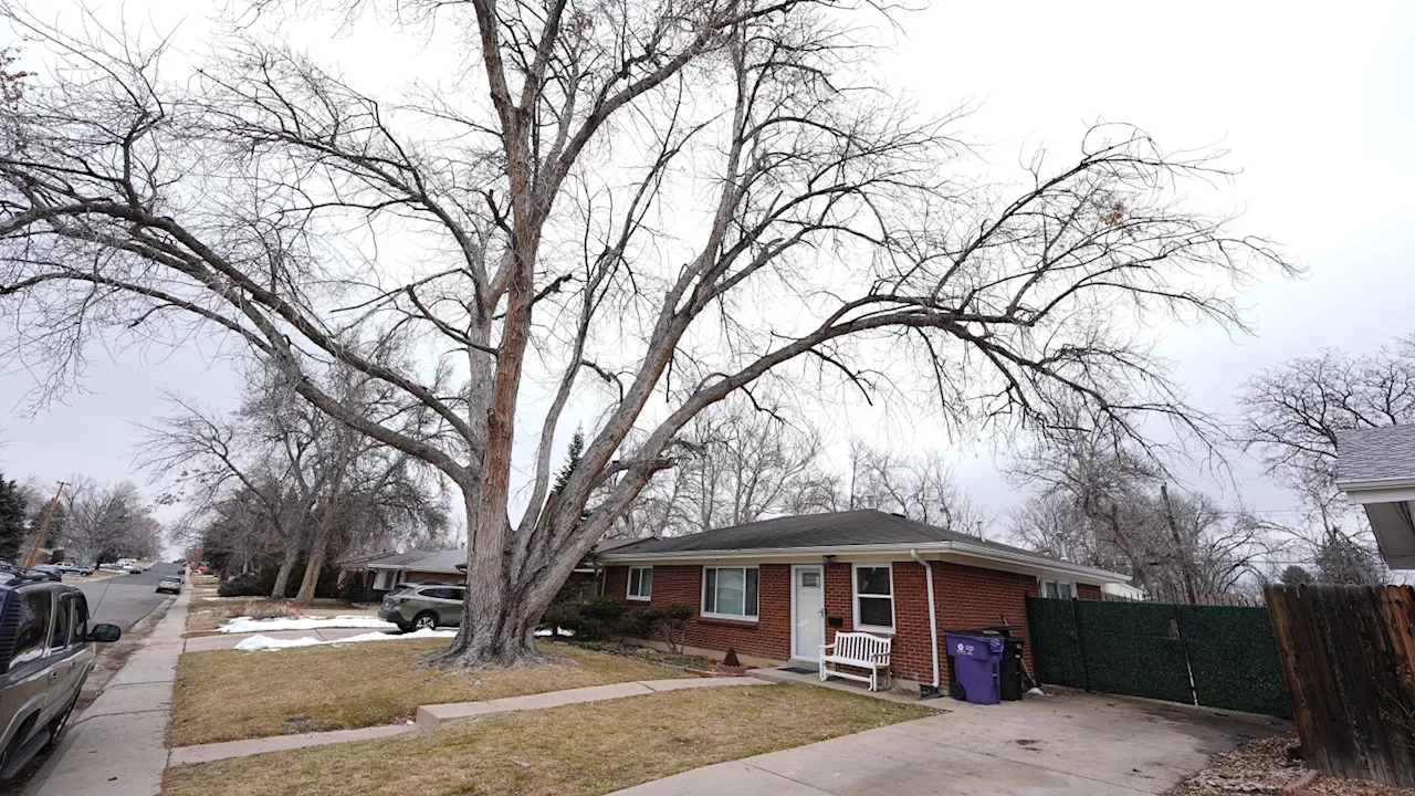 More charges against Colorado funeral home owner who had corpse in back of hearse for over a year