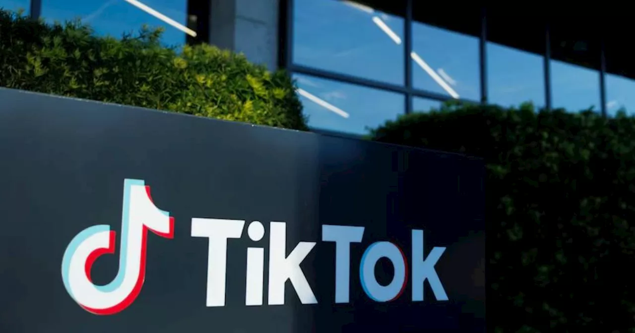 ByteDance, TikTok seek temporary halt to US ban pending Supreme Court review