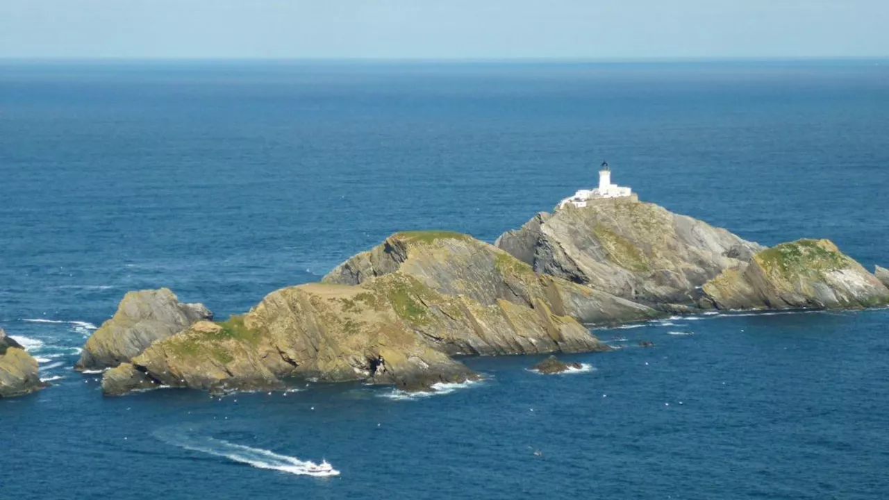 Absturz: Flugzeugwrack aus Deutschland mit menschlichen Überresten in Schottland gefunden