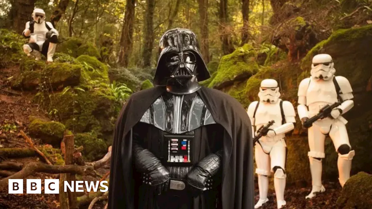 Star Wars woodland studied in filming-impact research