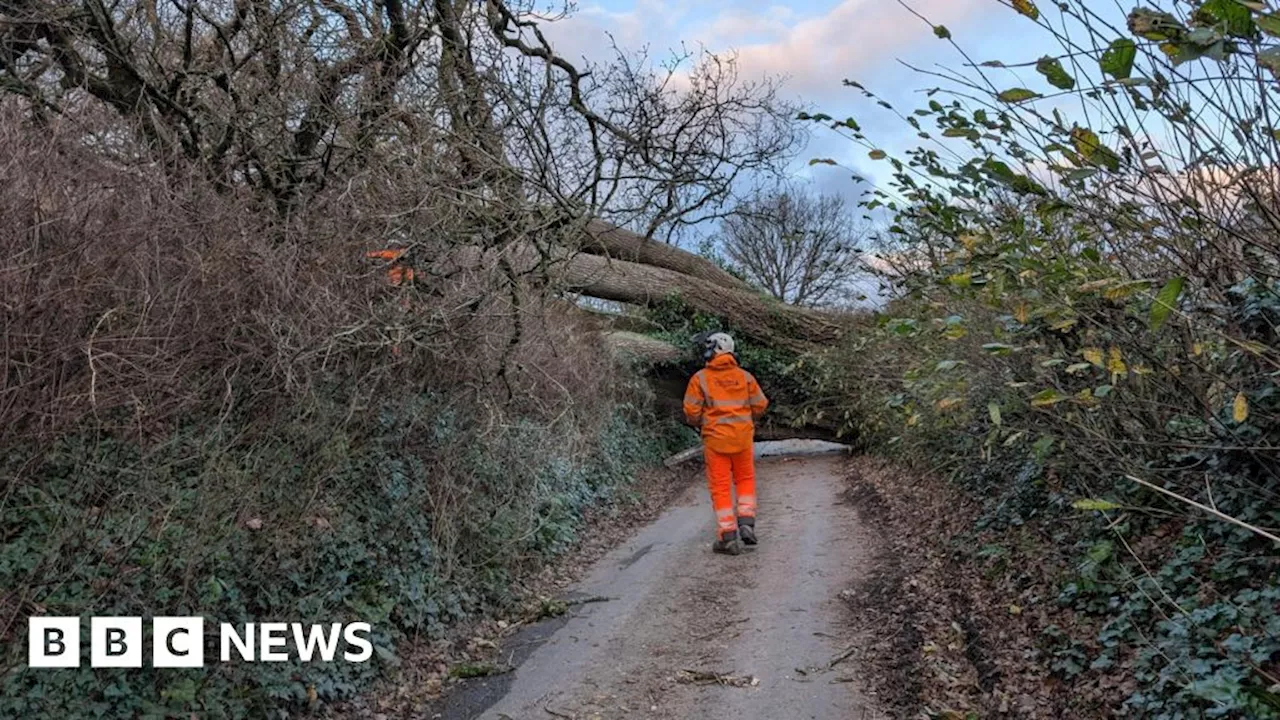 Storm Darragh: National Grid still working to restore power