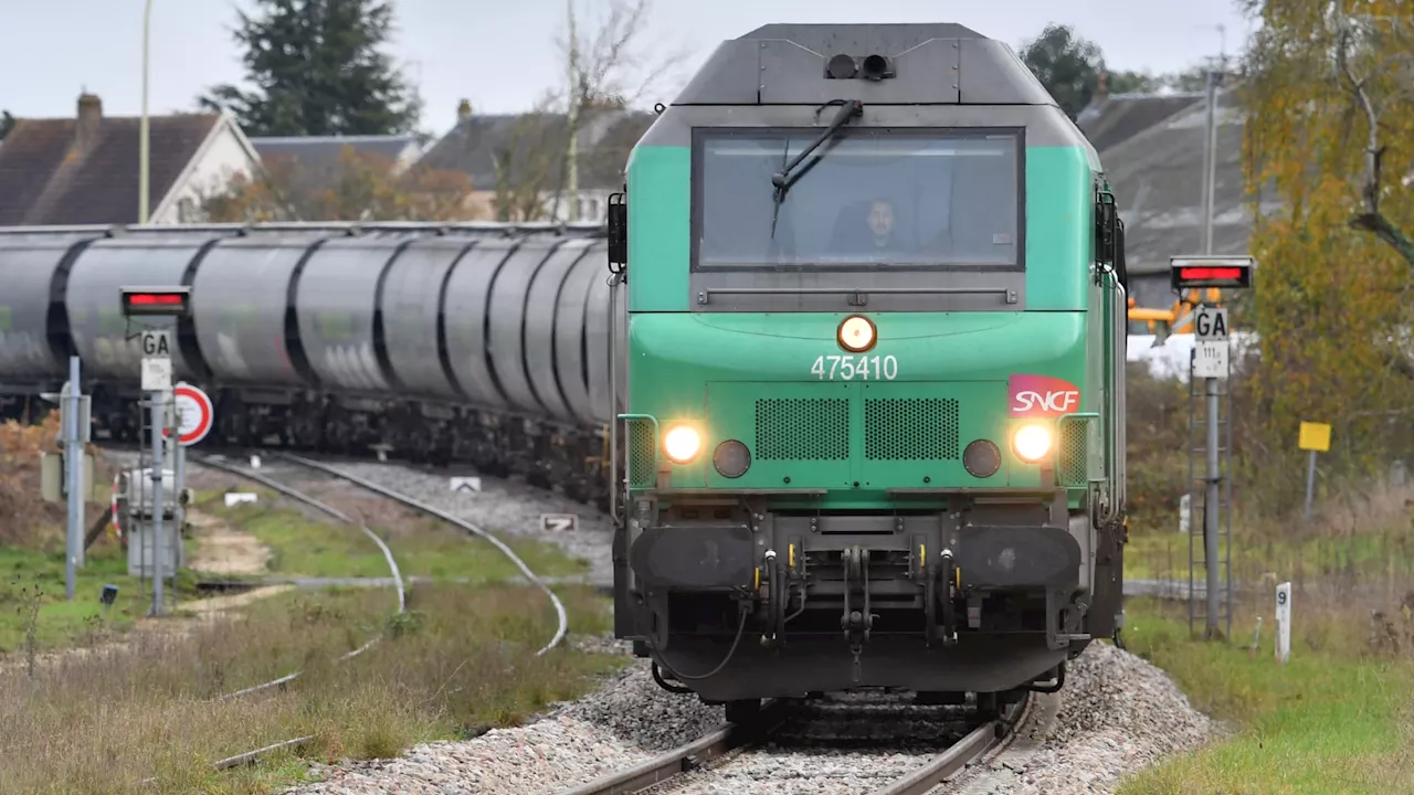 Cherbourg-en-Cotentin: pourquoi un train de 550 mètres de long va traverser la ville