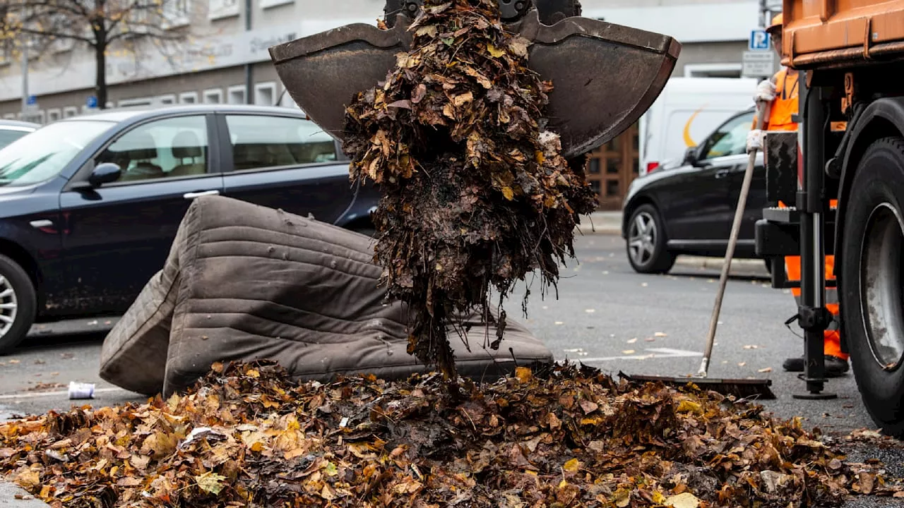 Berlin: Die BSR lässt sehr viel Laub liegen