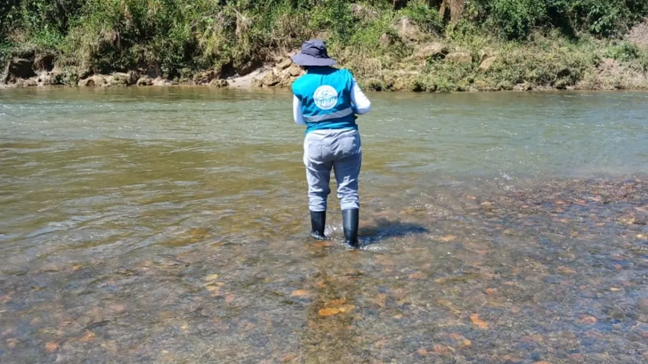 Investigan mortandad de peces nativos en el río Nus en Antioquia