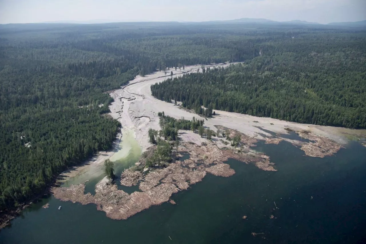 Fifteen fisheries charges laid a decade after Mount Polley dam breached in B.C.