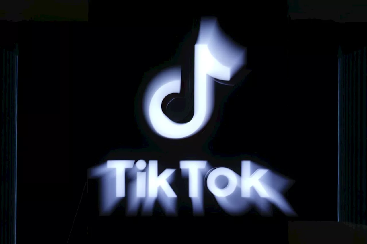 TikTok files legal challenge of federal government's shutdown order