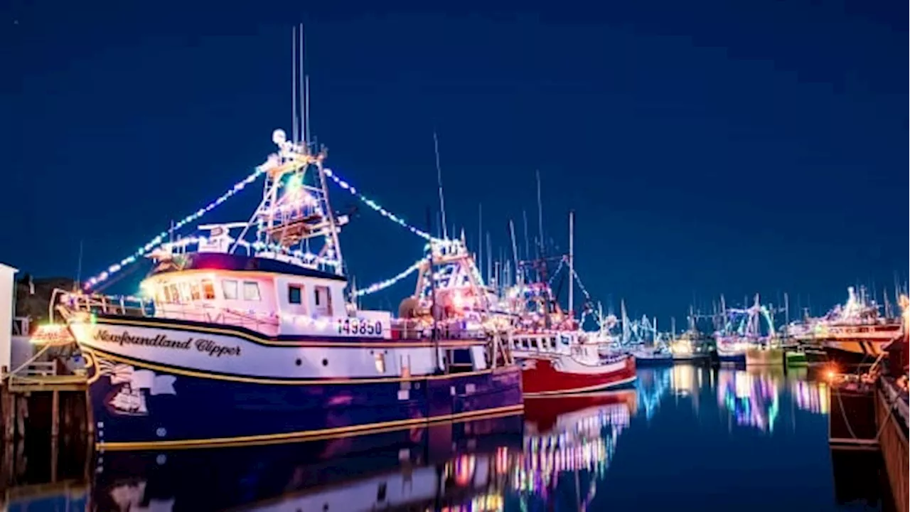 The bright lights in Port de Grave mean more than Christmas. They're also about memory and loss