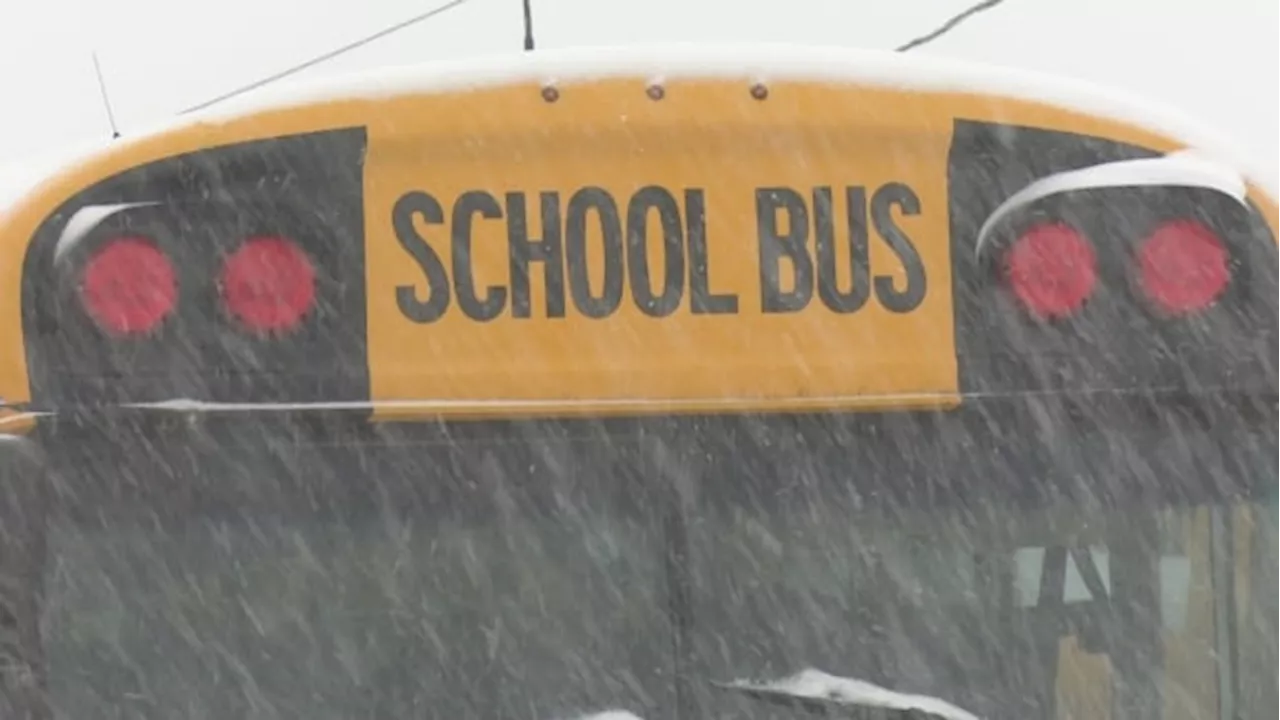 Most eastern Ontario school buses cancelled outside of Ottawa