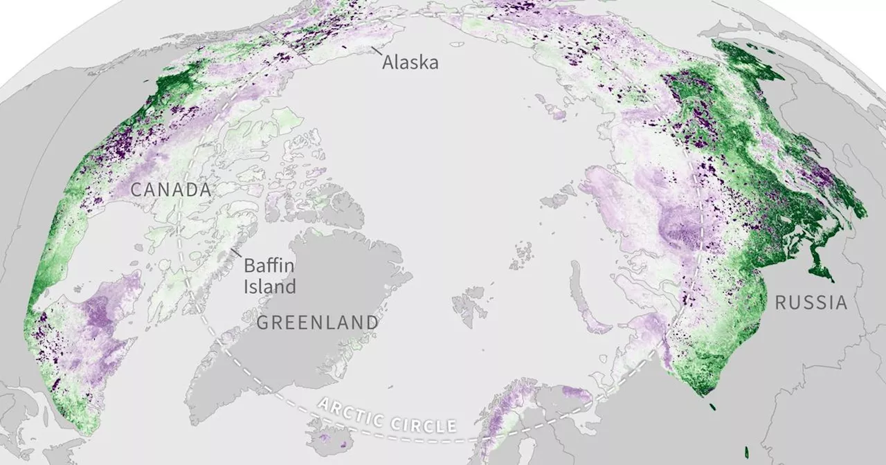 Arctic tundra becoming a source of carbon dioxide emissions, NOAA warns