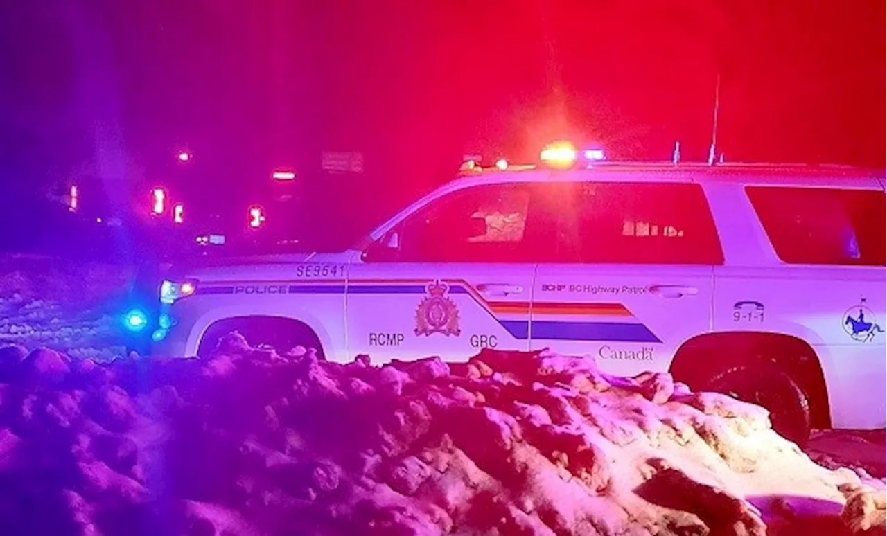 Boy, 8, killed in B.C. crash with snowplow, pedestrian suffers ‘life-altering’ injuries: police