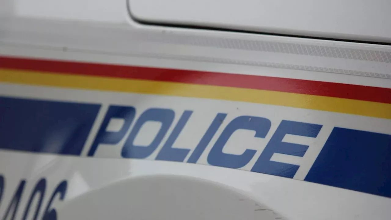 Man, 50, in hospital, suspect flees after alleged stabbing at Nanaimo park: RCMP