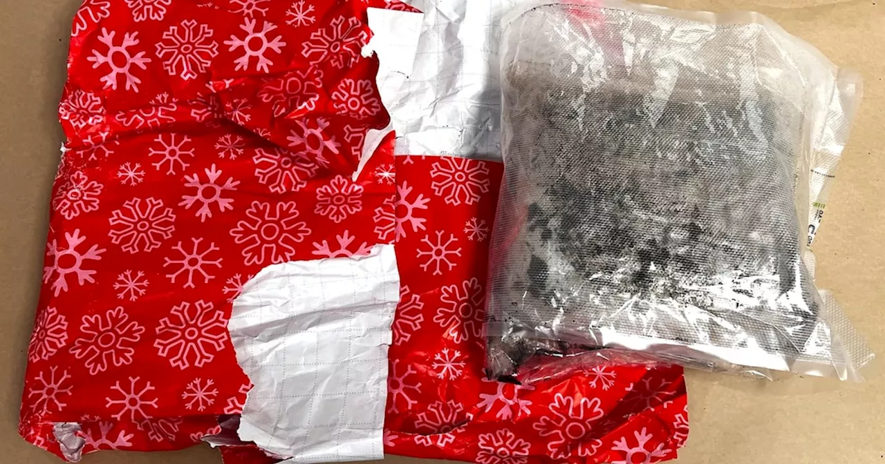 Canadian arrested with 10 kg of meth wrapped as Christmas presents at New Zealand airport