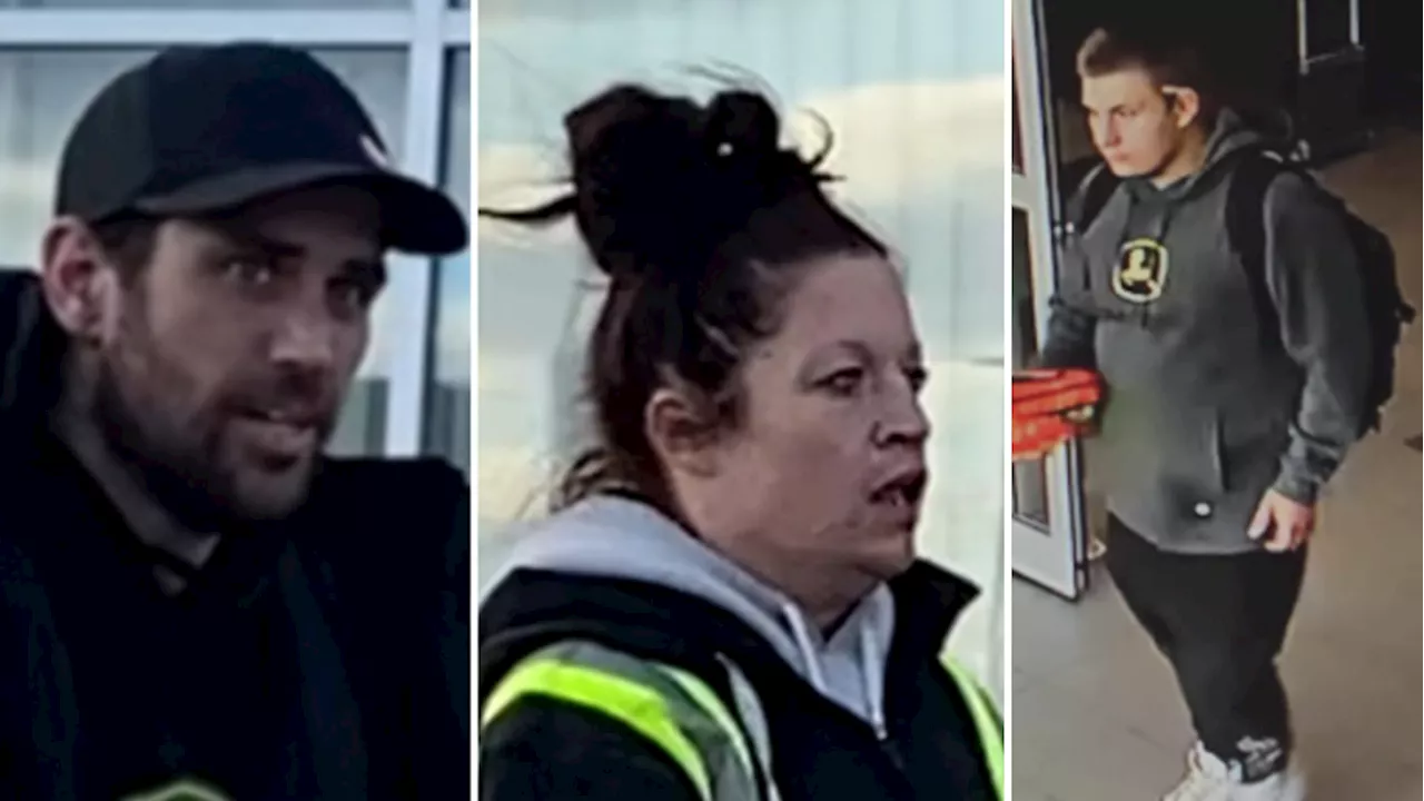 Ottawa police seek to identify suspects in November robbery