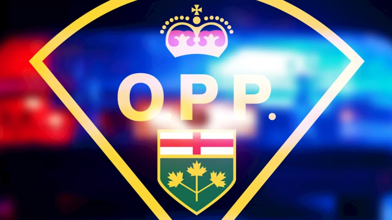 Police seize loaded firearm during RIDE checkpoint in eastern Ontario