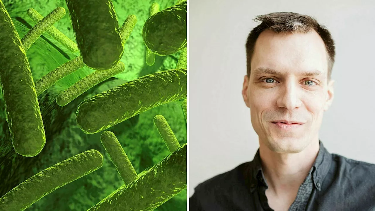 Svenska forskare hittar antibiotika mot resistenta bakterier