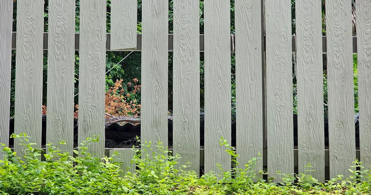 Gardeners urged to cut holes in fence in December for this vital reason