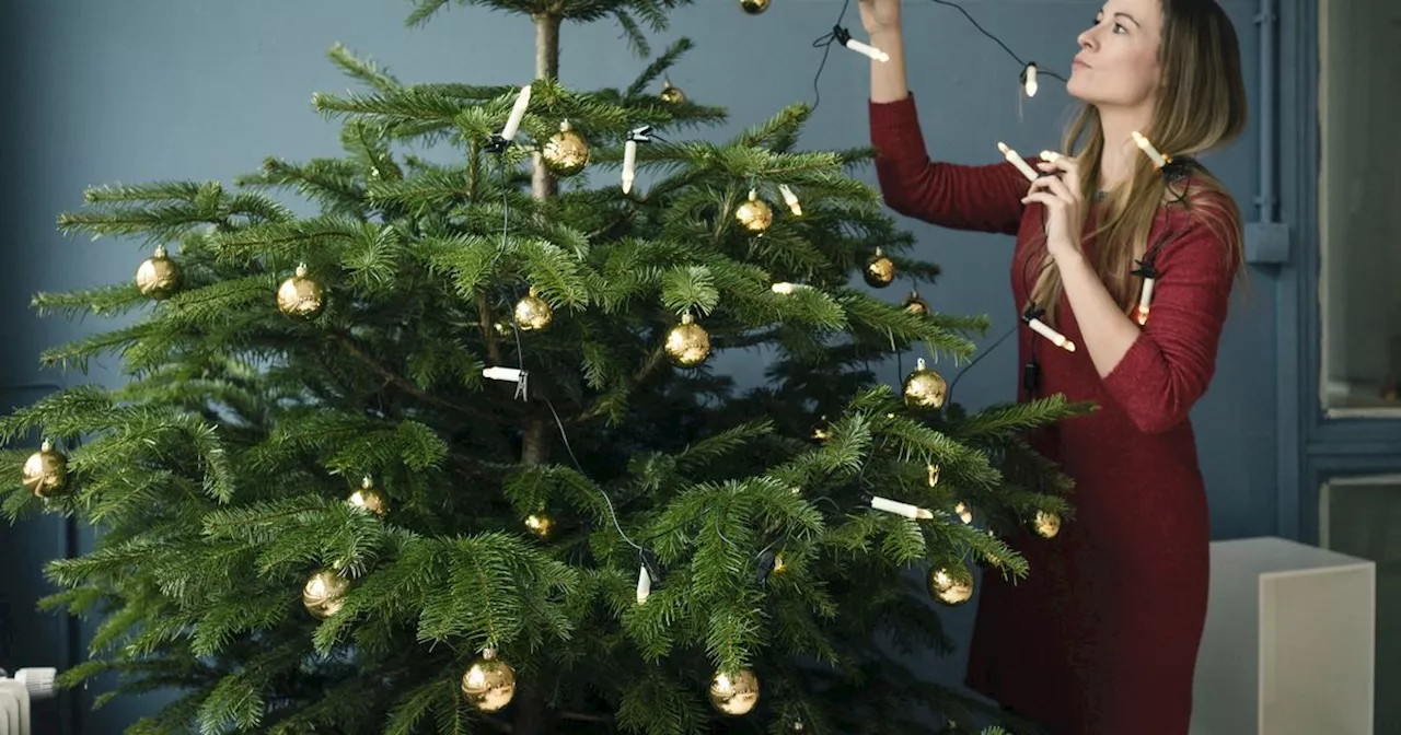 Genius real Christmas tree decorating hack will spare your hands from injury