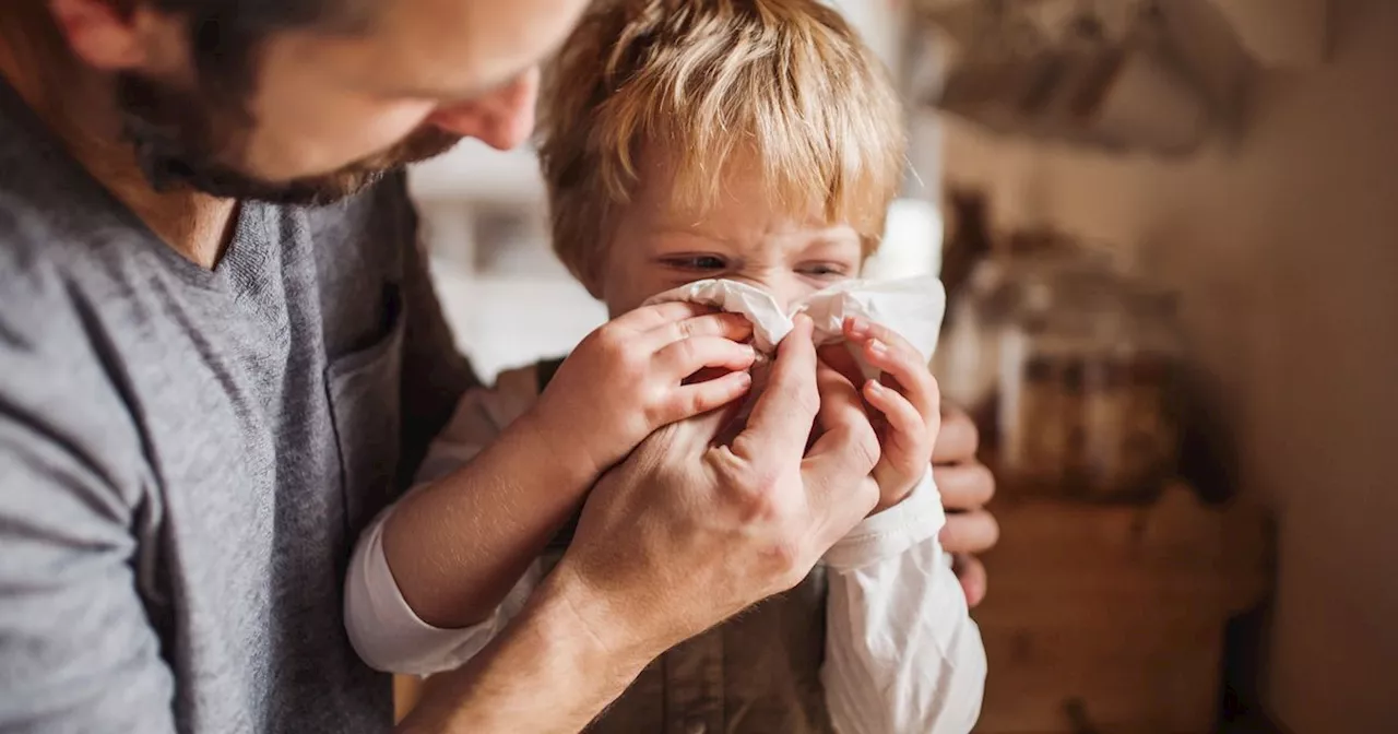 Health boss warns of spike in kids' illnesses as festive 'quad-demic' continues