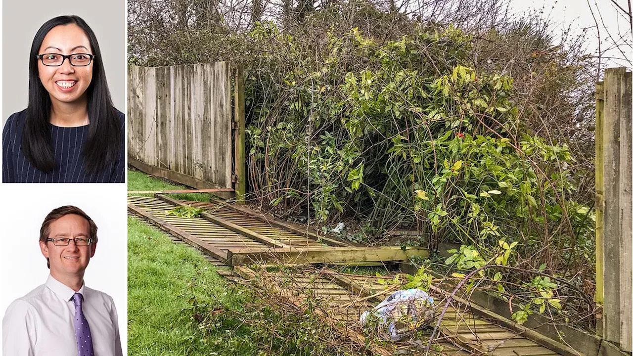 Storm Darragh blew my garden fence down but my neighbour is refusing to pay their share: What should...