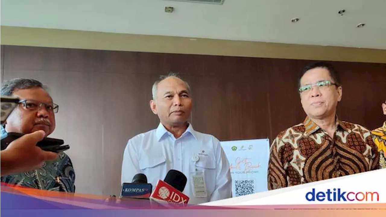 Harta Karun Migas Papua Diincar Investor, Segini Potensinya