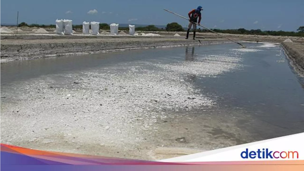 RI Mau Tutup Keran Impor Garam Mulai 2025, Emang Bisa?