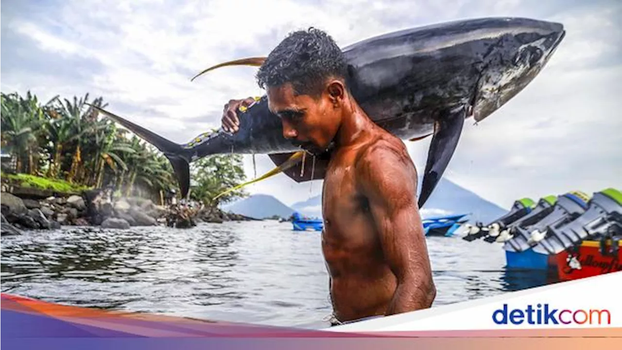 Turki Investasi Rp 634 Miliar buat Budidaya Ikan Tuna di RI