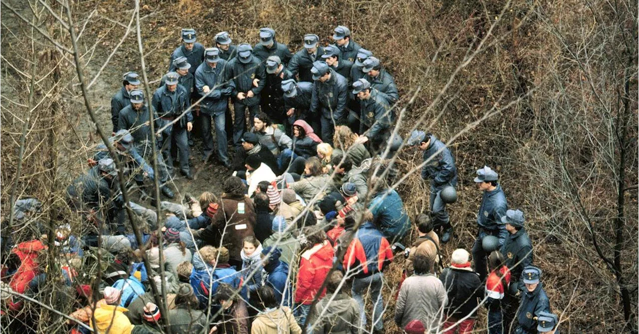 Auhirsch und Gummiknüppel: Der Protest von Hainburg