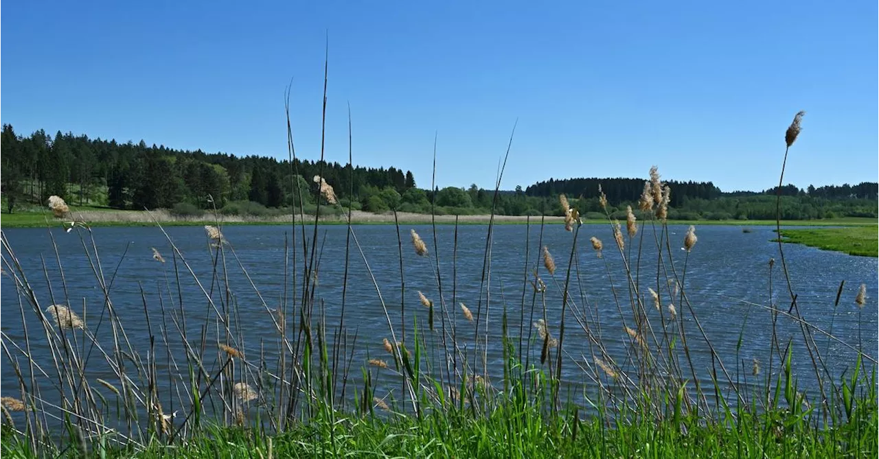 Geburtshilfe für neuen Nationalpark Kampwald