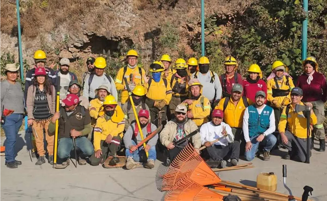 Desarrollan Programa de Manejo del Área de Valor Ambiental; buscan conservación y restauración del Bosque Urbano Tepepolco