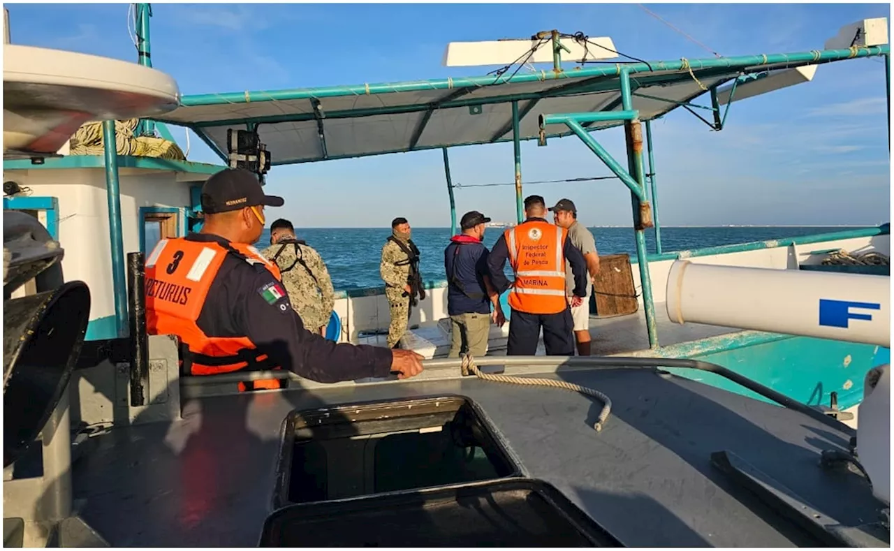 La Marina asegura 300 kilos de langosta en costas de Progreso, Yucatán; hay 5 pescadores detenidos