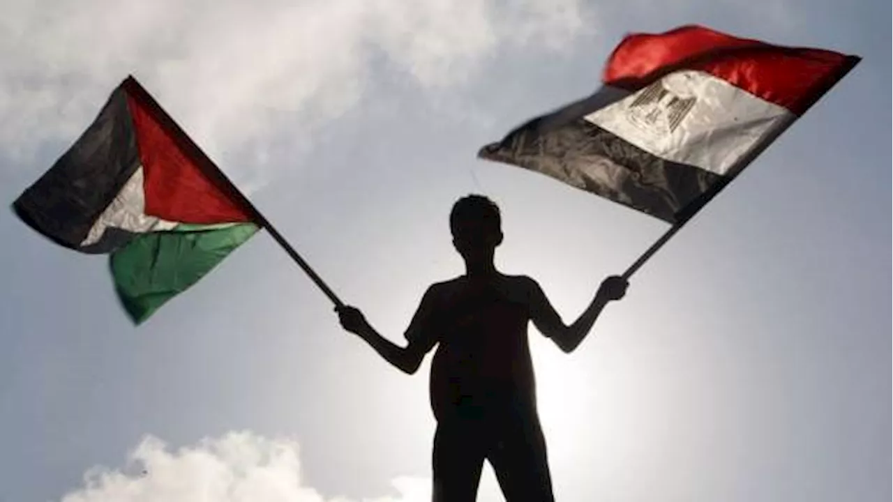 القوى الفلسطينية تشيد بدور مصر لوقف العدوان ولإنهاء الانقسام