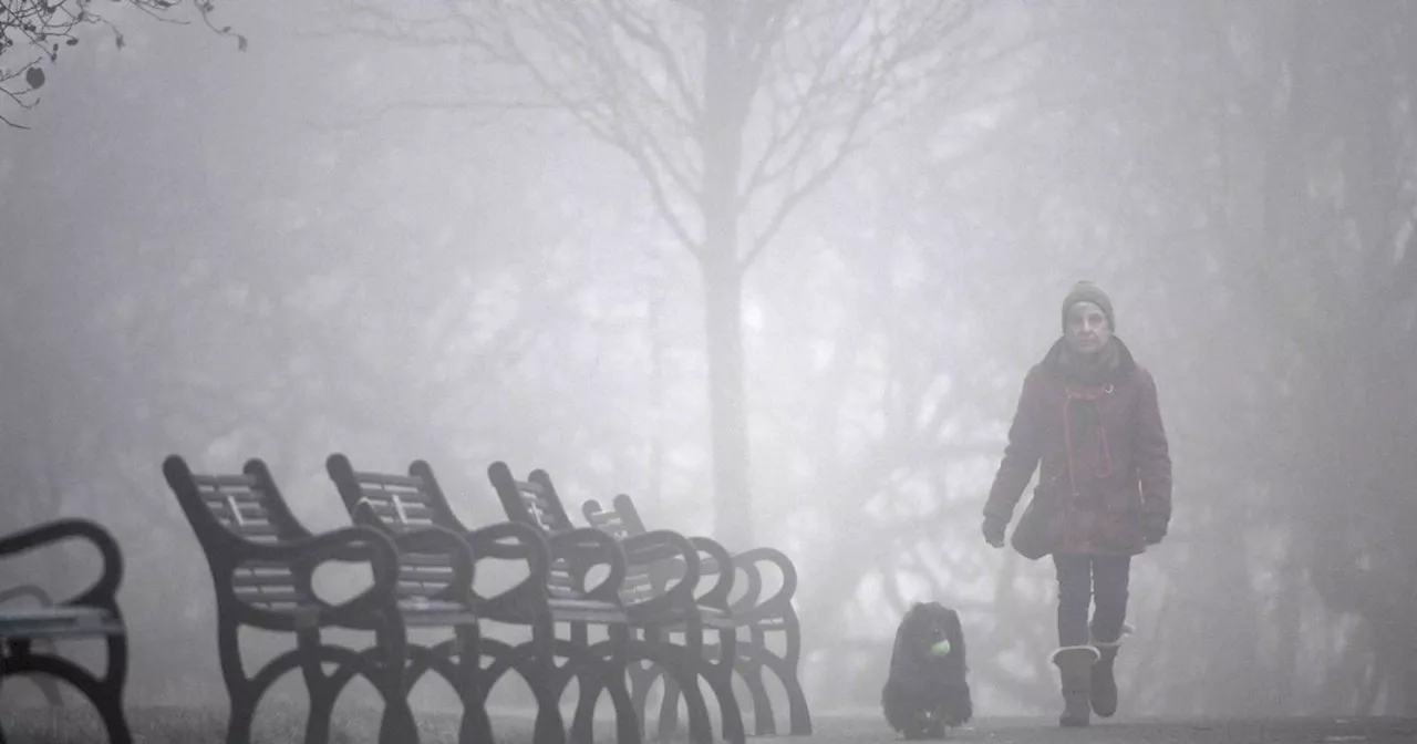 Freezing fog grips Glasgow as cold weather snap is here to stay