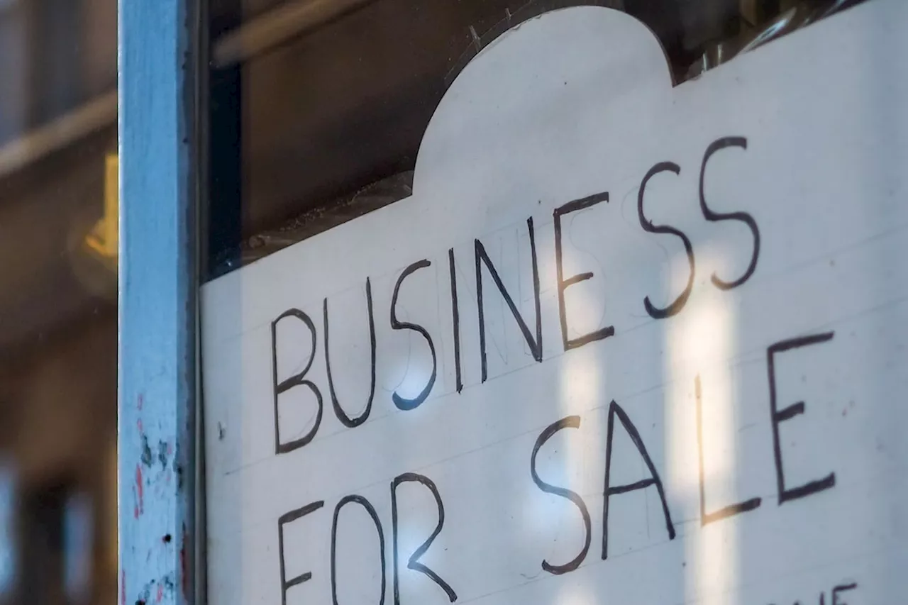 Buy a business, or start from scratch. The pros and cons