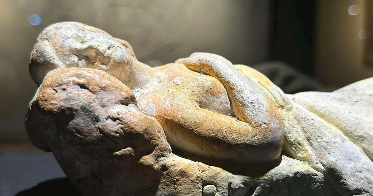 National Museum acquires Jose Rizal's 'Josephine Sleeping'