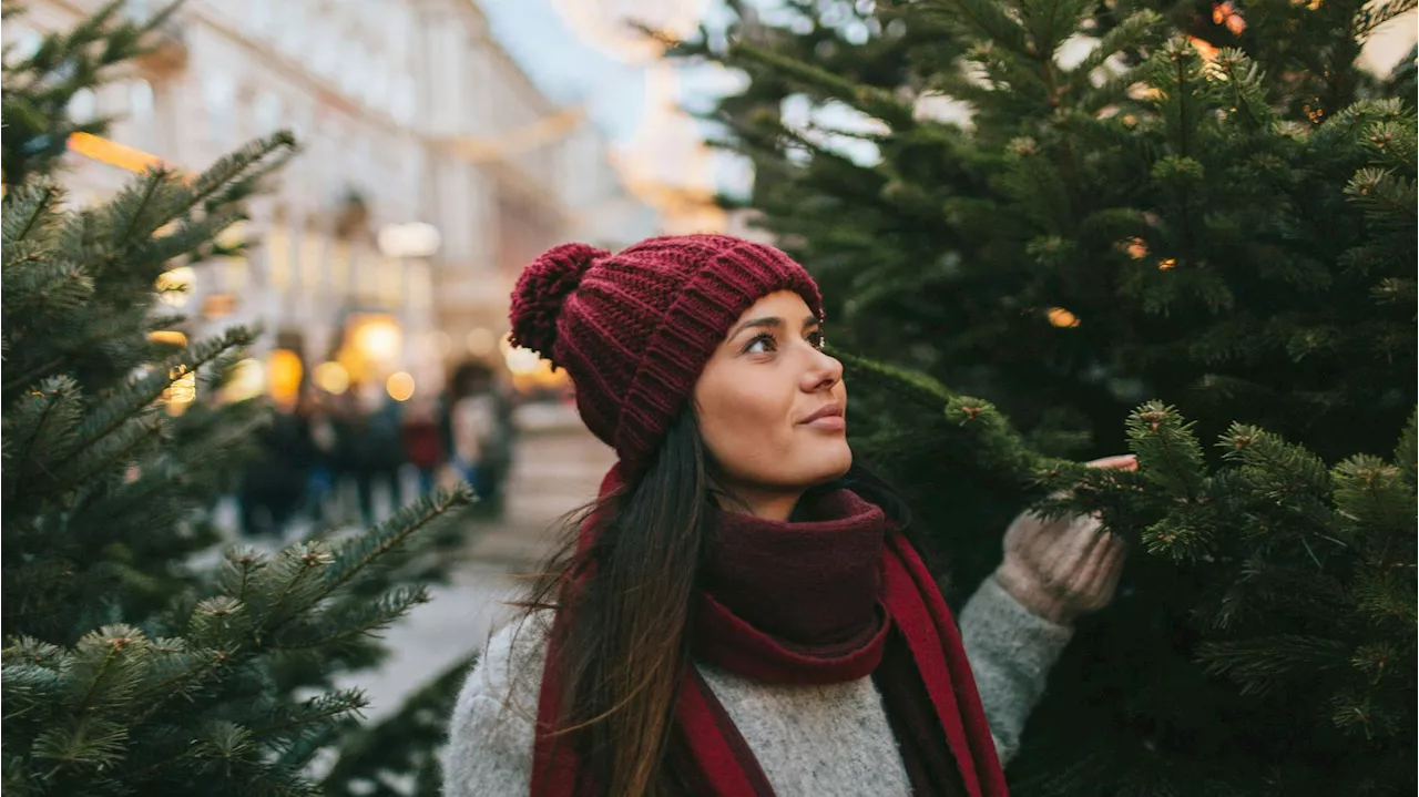 Bald Abschied vom Traumbaum - Klimakrise total – Christbäume vom Aussterben bedroht