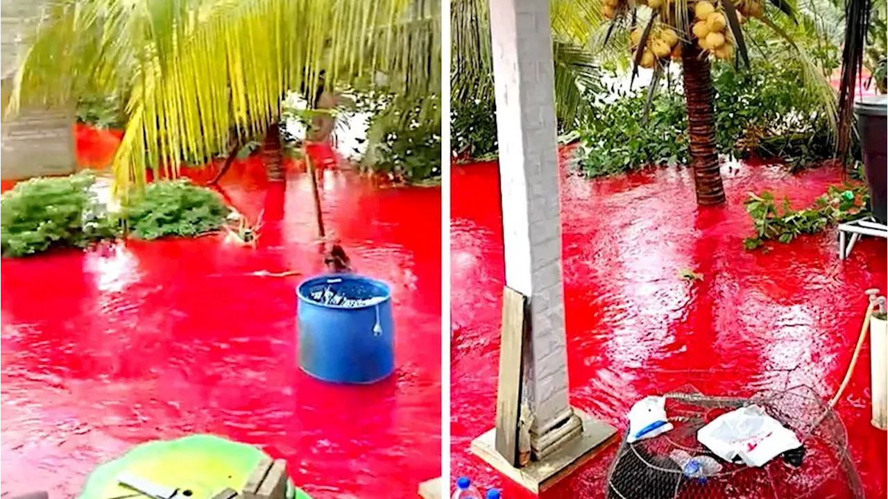  Plötzlich war Hochwasser rot! Blut-Flut schockt Ehepaar