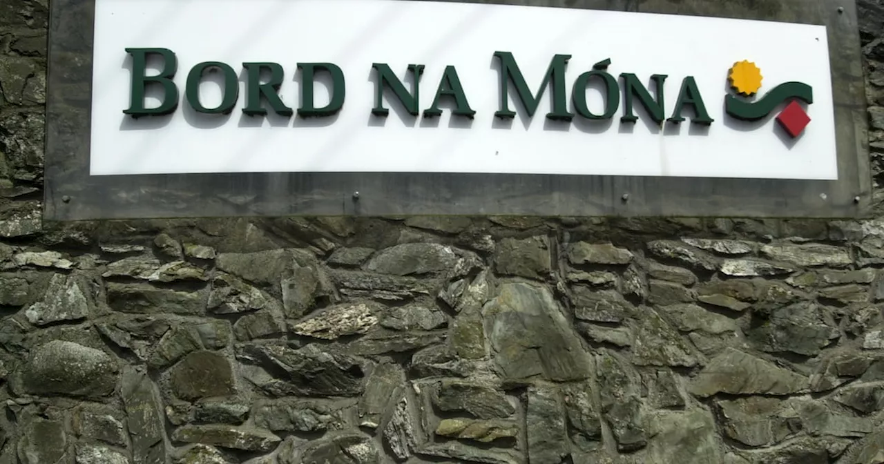 Bord na Móna nears the finish line on sale of its waste management business