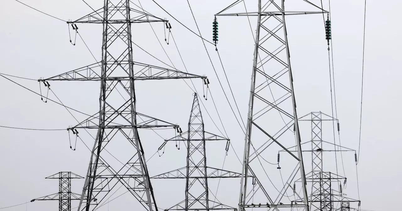 Energy regulator ordered to reconsider power firms’ access to electricity auction