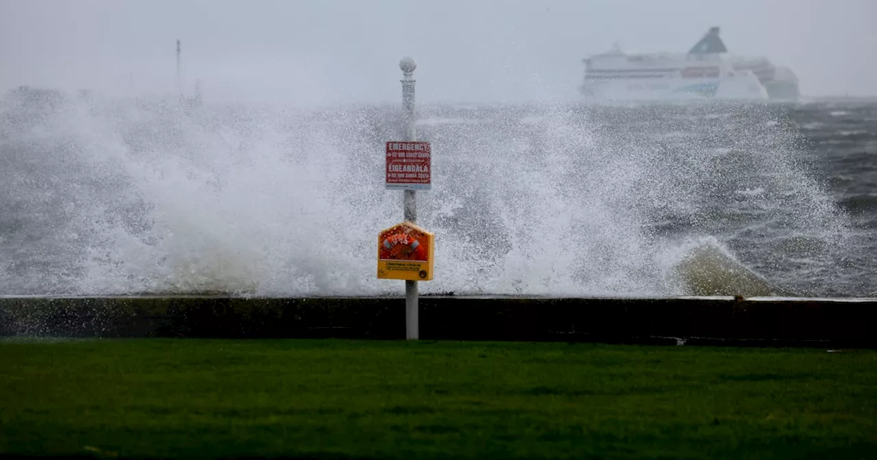 Storm Darragh: Thousands of premises may remain without electricity until end of week because