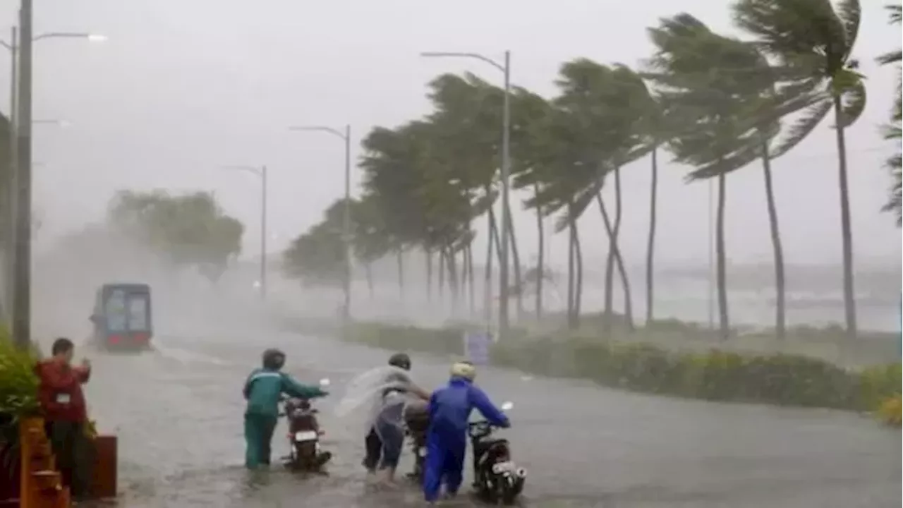 Jharkhand Weather Today: तो इस वजह से झारखंड में हो रही बारिश, धान की फसल पर मंडराया बर्बादी का संकट