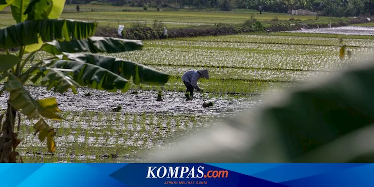 [POPULER PROPERTI] PP Soal Sawah Berubah Jadi Rumah Lagi Disusun AHY dan Nusron