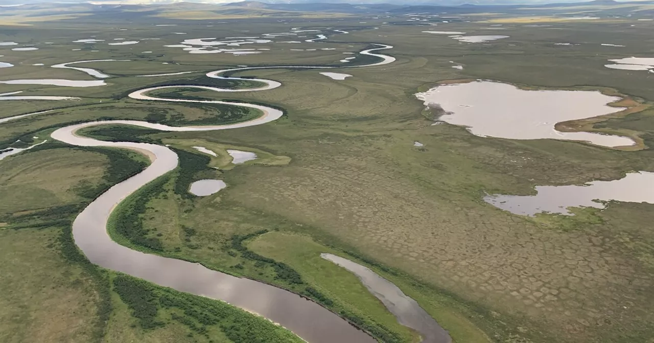 Arctic tundra now emits planet-warming pollution, federal report finds