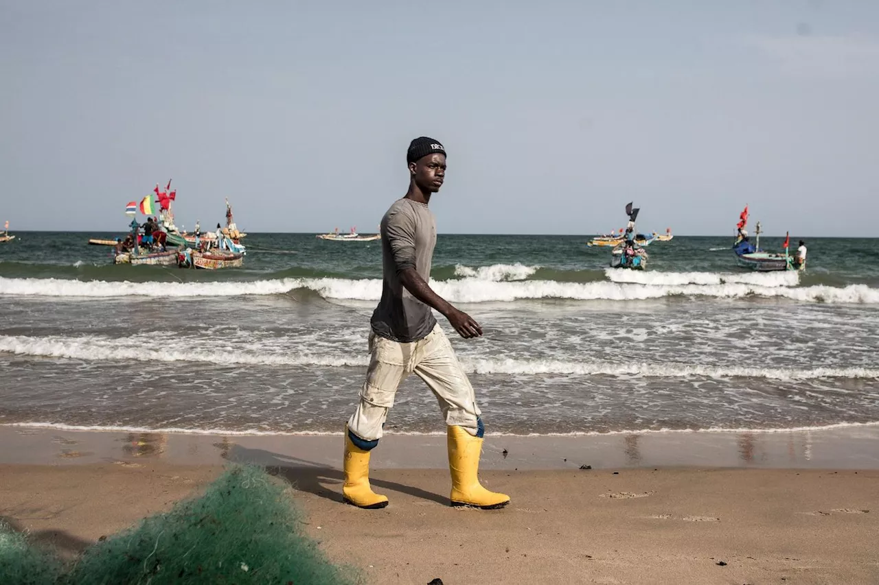 En Gambie, un village de pêcheurs sans patrie