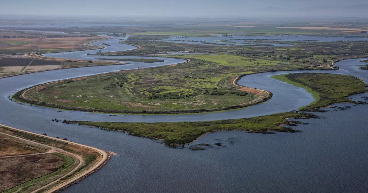 California water agency votes to spend $141 million on Delta tunnel project