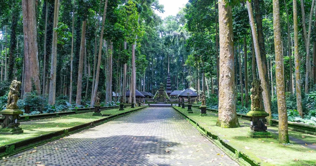 Bali : deux touristes, dont une Française, décédées d’une chute d'arbres dans un parc touristique