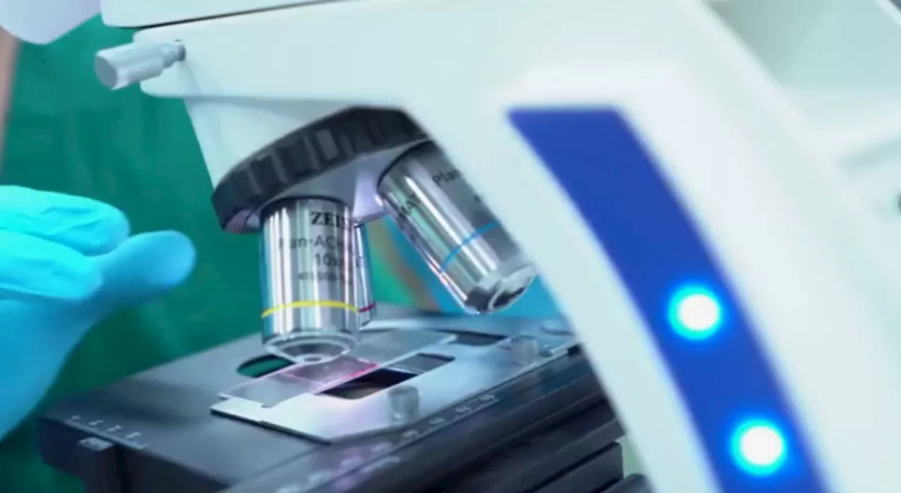 Nanoparticelle di diatomite per combattere il cancro colorettale: lo studio del CNR